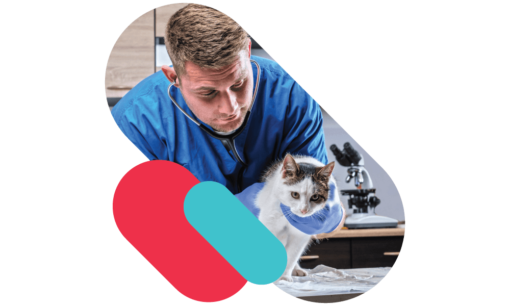 Female vet holding a dog with academy branding